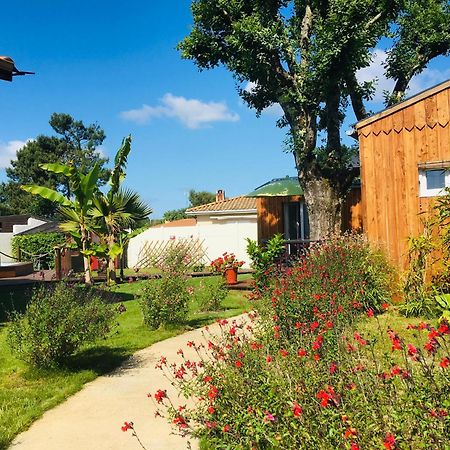 Les Petits Chalets De Kzo ลาเตสเตอ-เดอ-บูค ภายนอก รูปภาพ